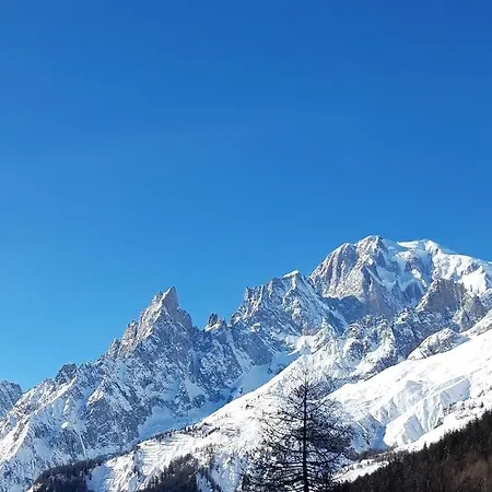 Gina * Pré-Saint-Didier