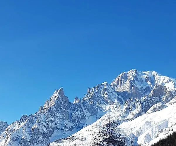 Gina * Pré-Saint-Didier